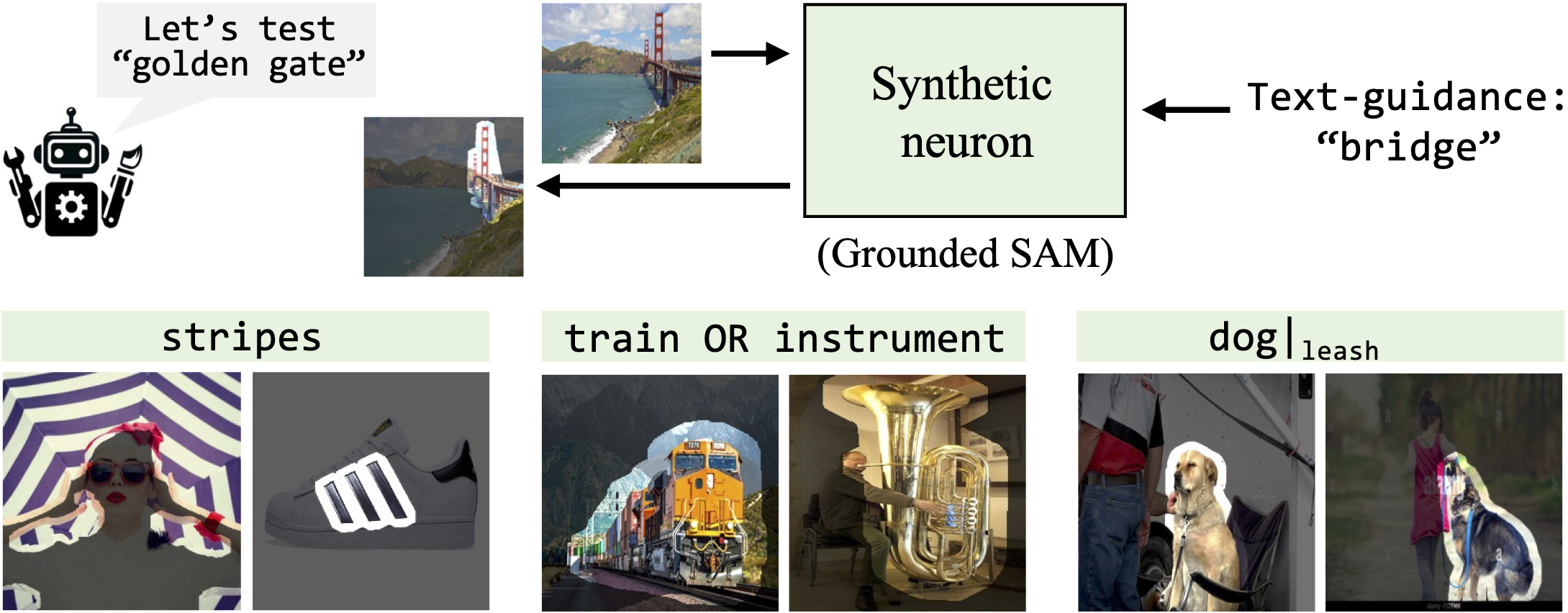 Synthetic Neurons